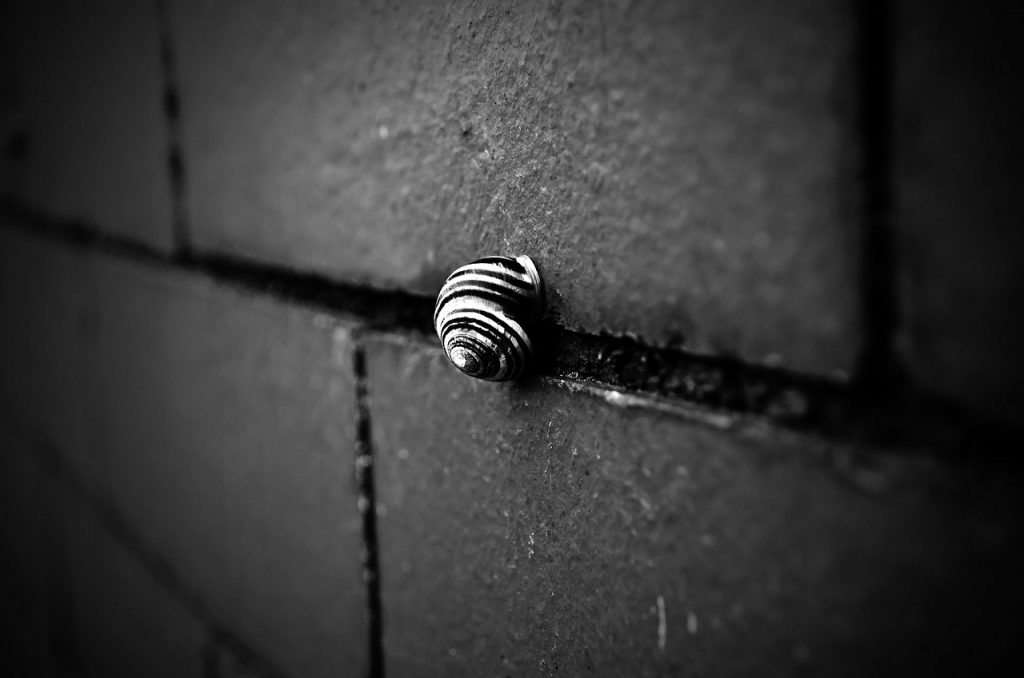 isolation-exterieure